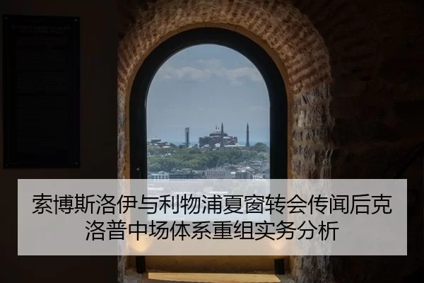 suo-bo-si-luo-yi-yu-li-wu-pu-xia-chuang-zhuan-hui-chuan-wen-hou-ke-luo-pu-zhong-chang-ti-xi-chong-zu-shi-wu-fen-xi-2-203.jpg